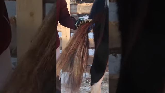 Массажная расческа для животных смотреть онлайн