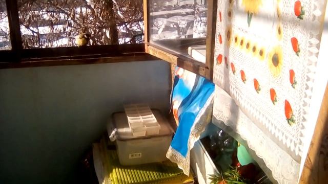 Синички смотреть онлайн