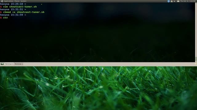 Shoutcast Tuner - Script - Ubuntu 10.10 смотреть онлайн