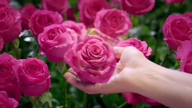 Happy Valentines Day Just For You - Giovanni Marradi смотреть онлайн