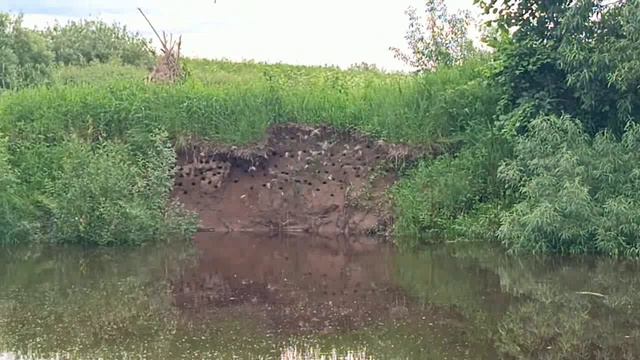 Одиночная прогудка по реке Комёла