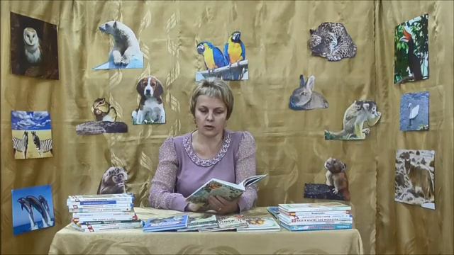 Кормиловская детская библиотека филиал смотреть онлайн