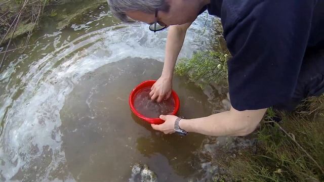 Акульи зубы в Рязанской области/Shark tooth hunting in Ryazan region смотреть онлайн