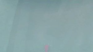 The Legend of Zelda Breath of the Wild  Баллада о Воинах  Все воспоминания (2017)