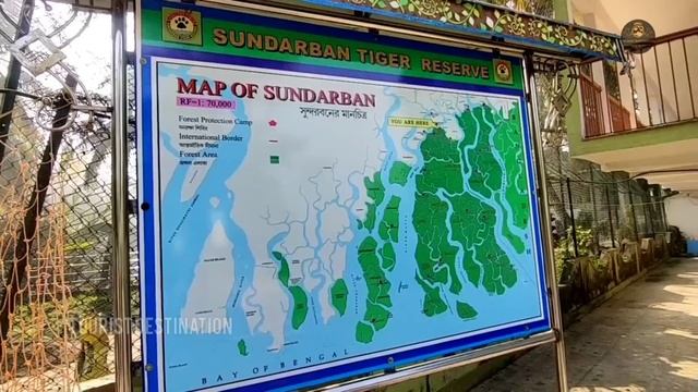 Sundarban Tour | 2 Nights 3 Days Sundarban Tour Package | Low Cost Sundarban Tour | Sundarban Trave смотреть онлайн