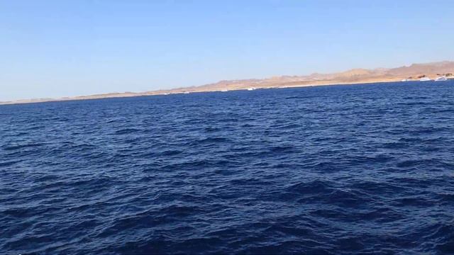 Egypt. Морской заповедник Ras Mohammed. Red sea. Sharm-El-Sheikh смотреть онлайн