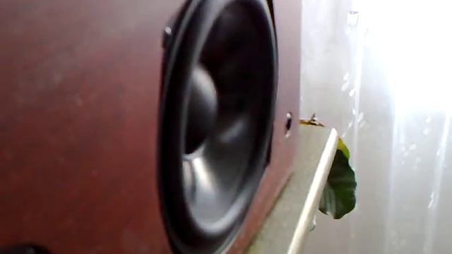 Genius SP HF 3000a 80W 20-20 000HZ wood смотреть онлайн
