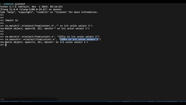 Python re.match Input Validation Bypass смотреть онлайн