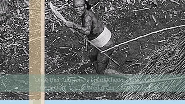 Uncontacted Amazon Tribe That Doesn't Know Our Civilization Exists смотреть онлайн