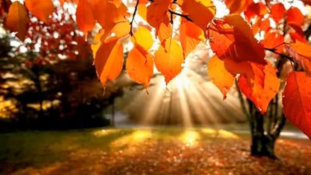 Медитация от 23.09.2014 (Сила РОДА) смотреть онлайн