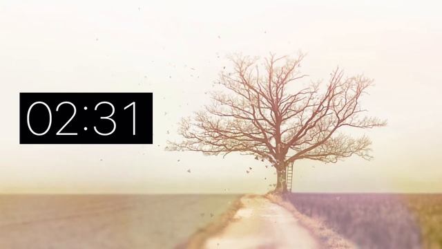 5 Minute Timer - Relaxing Music смотреть онлайн