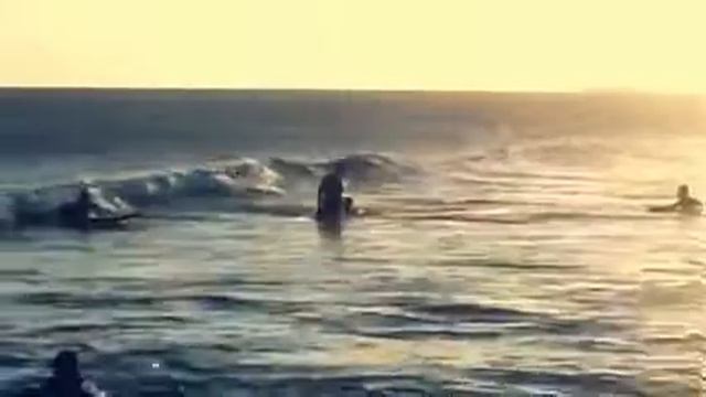 Diogo Caruso - Surf, SK8 e Jiu Jitsu смотреть онлайн