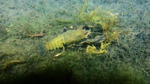 Озеро Увильды.