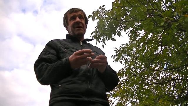 Морда о здоровье, работе и жизни. смотреть онлайн