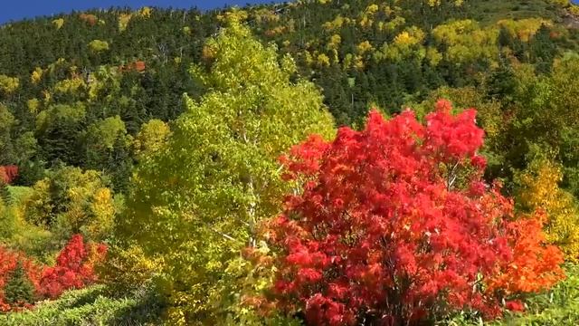 Музыка для души, Осень смотреть онлайн