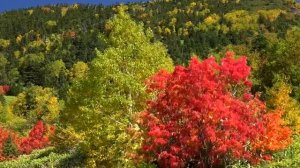 Музыка для души, Осень