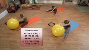 Пилатес для начинающих.  Уроки с Карен Картер. Занятие 17