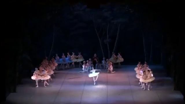 Дульсинея Вита Мулюкина