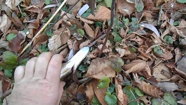 Река Боромля Маслозавод 07.11.14. смотреть онлайн