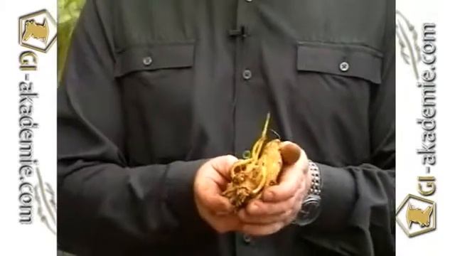 004 - Советы садоводам.