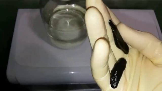 Содержание пиявок. Лечение пиявок смотреть онлайн