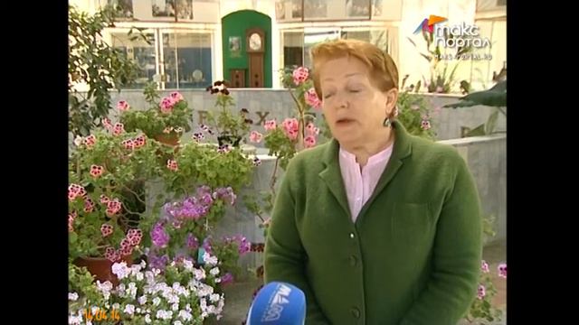 В Сочи зацвела пеларгония смотреть онлайн