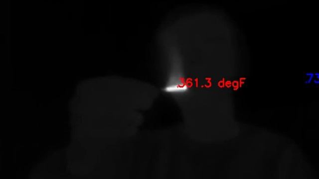 FLIR lepton 3 radiometric temperature measurement смотреть онлайн