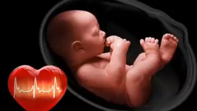 сердцебиение звук Белый шум смотреть онлайн