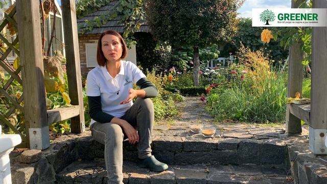 Лучшие сидераты для почвы. ОБЯЗАТЕЛЬНО ПОСЕЙТЕ ИХ! смотреть онлайн