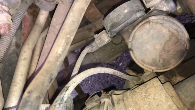 How to locate and access the crank position sensor on VAG 1.4 16v engine смотреть онлайн