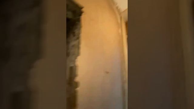 Штукатурка стен, откосов и потолков в квартирах/загородных домах