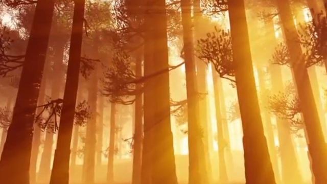 Христианский стих " Вновь выглянул солнце из-за туч" смотреть онлайн