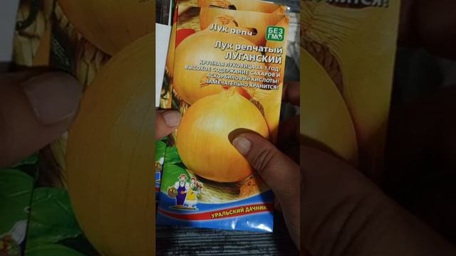 ##Обзор семян на 2024г##