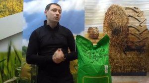 Французский подсолнечник Имерия Фушия под ЕвроЛайтнинг. Высокоурожайные гибриды импортной селекции.