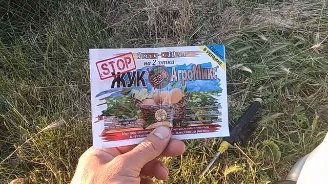 Чем брызгать картошку от колорадского жука ? смотреть онлайн