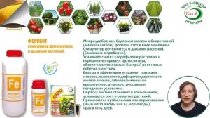 Вопросы и ответы Феровит