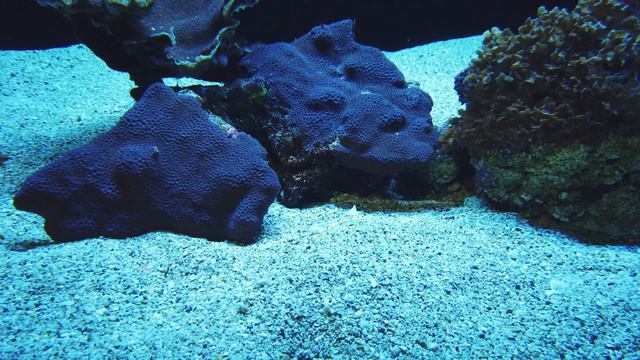 Micro Environments - Number 14 смотреть онлайн