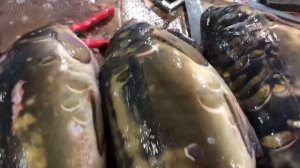 Рынок Махачкалы Цены на мясо на рыбу Огромный выбор. Дагестан