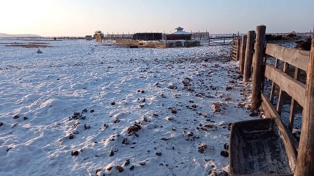 Банхары. Будни семейной фермы. смотреть онлайн