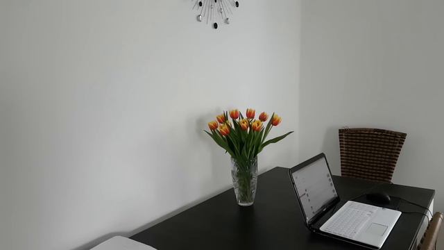 Германия. Пасхальный ВЛОГ смотреть онлайн