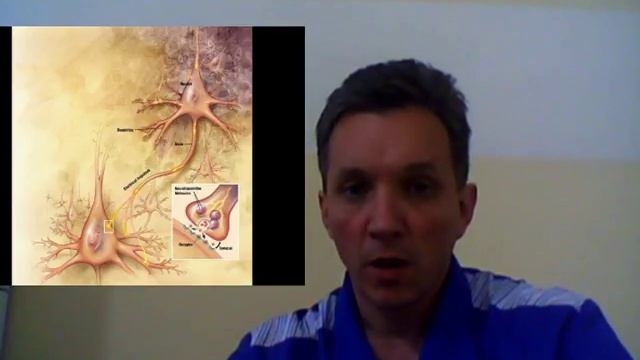 Механизмы и сроки восстановления при инсульте смотреть онлайн