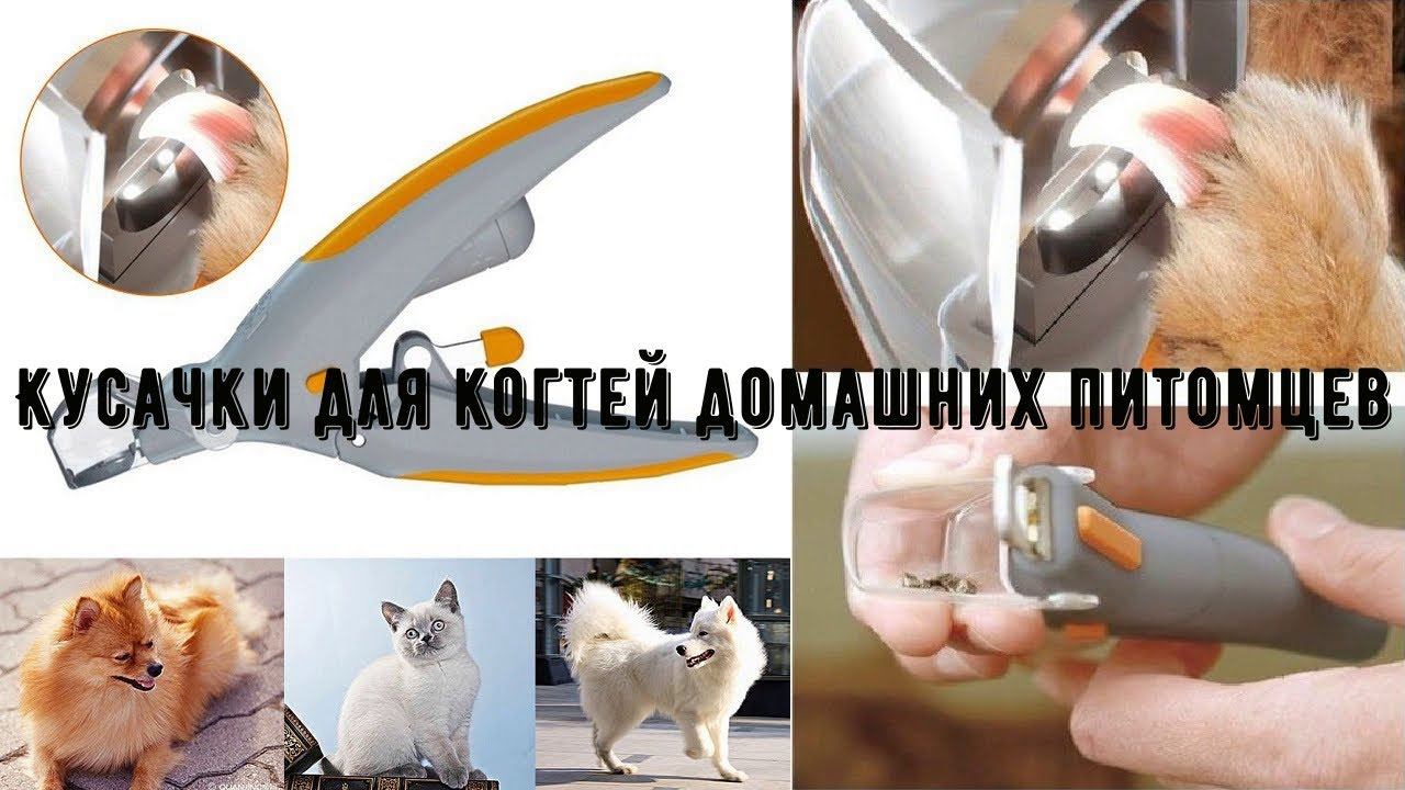 Кусачки для когтей домашних питомцев со светодиодной подсветкой смотреть онлайн