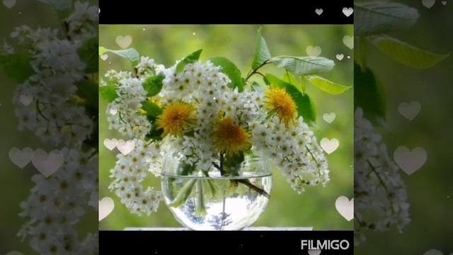 Утренняя Музыкальная Открытка для всех женщин. 💐 💖