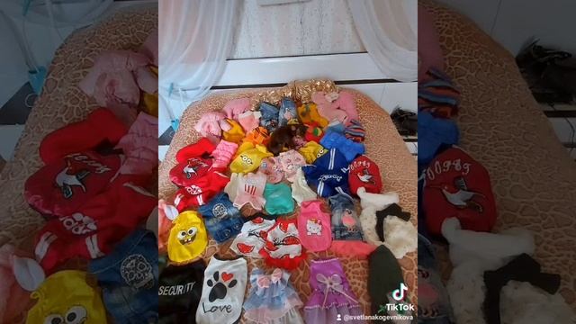 Проблема нечего надеть и некуда складывать смотреть онлайн