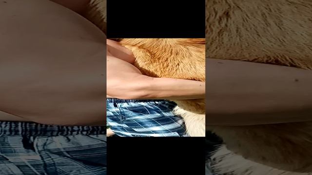 Купальный сезон открыт