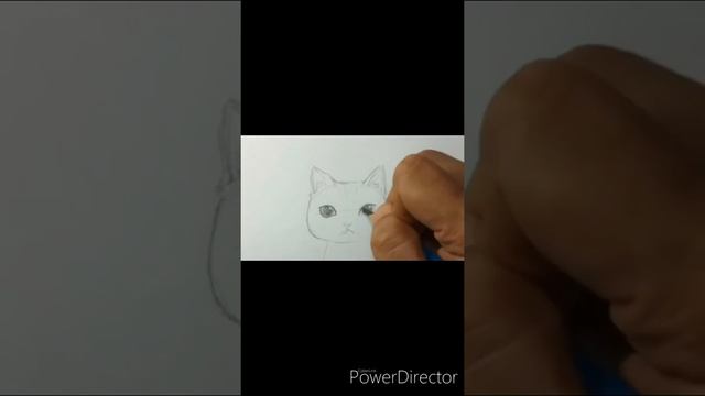 How to draw a cat easily. Как быстро нарисовать кошку смотреть онлайн
