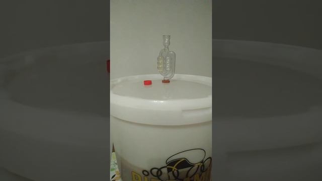 Il fermentatore gorgoglia смотреть онлайн