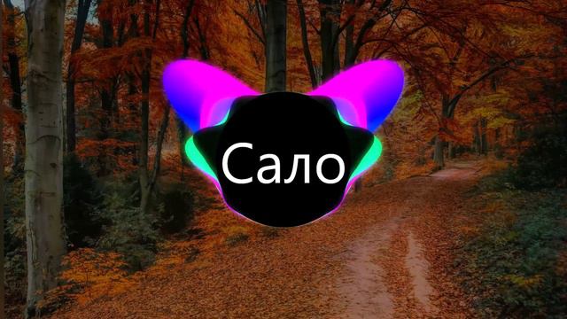 Михайло Поплавський - Сало (BASS BOOSTED) смотреть онлайн