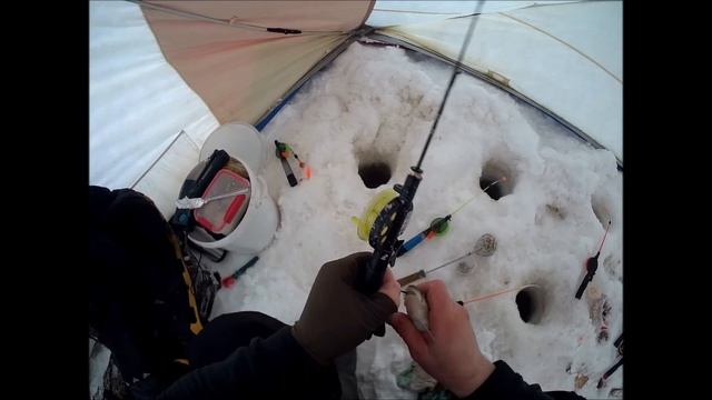 Ухта 11 02 23 смотреть онлайн