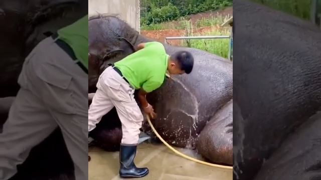 Константин